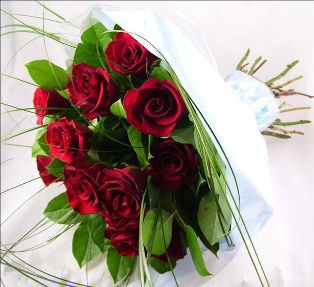 Dozen Red Roses  |  Periwinkle Flowers Toronto